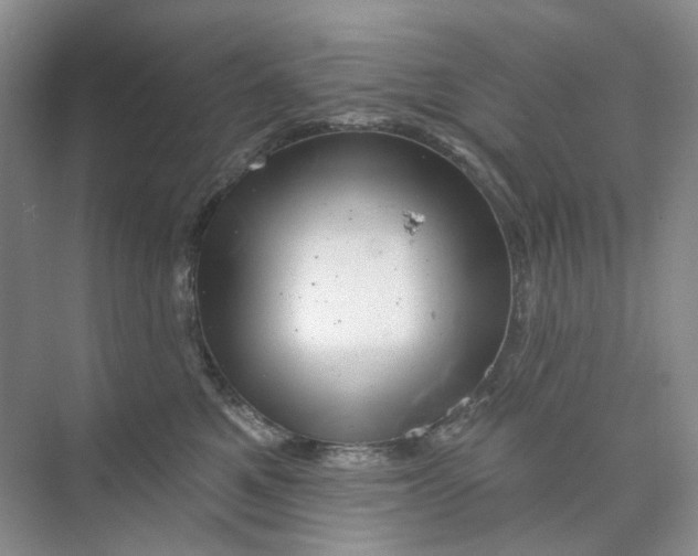 X0000074040521200609181956