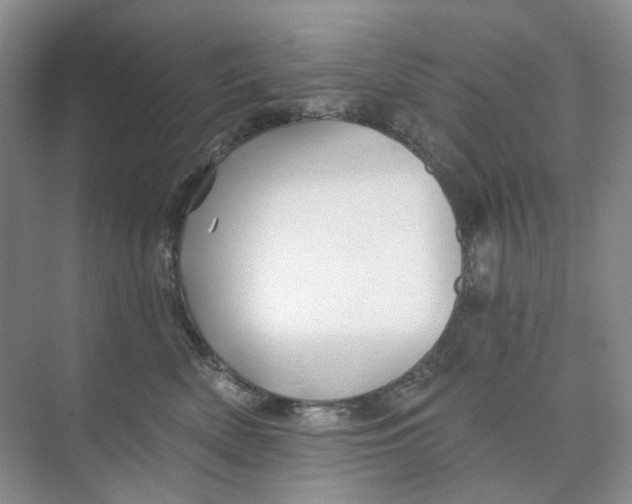 X0000074040522200609181956