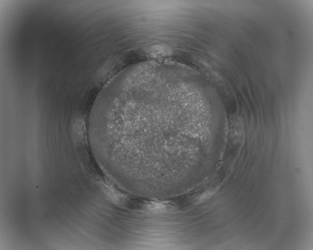 X0000074040523200609181956