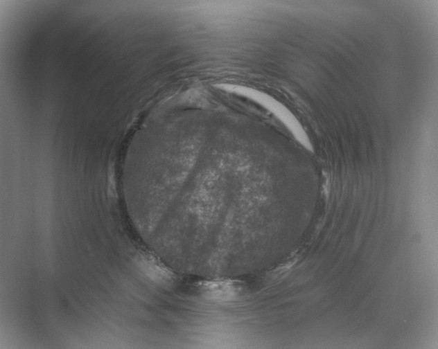 X0000074040524200609181956