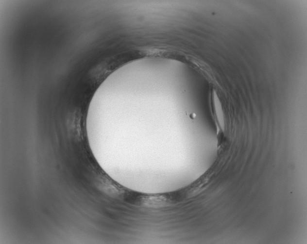 X0000074040525200609181956