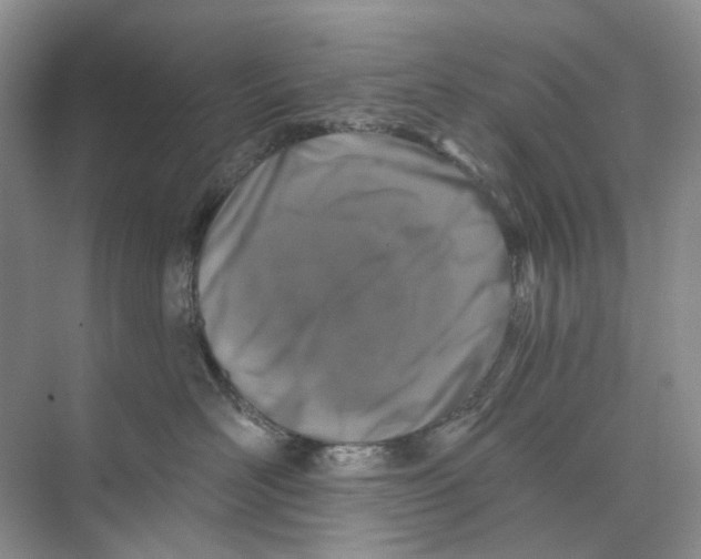 X0000074040526200609181956