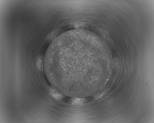 X0000074040527200609181956