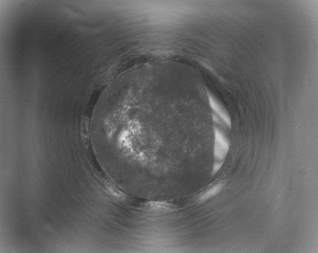 X0000074040528200609181955