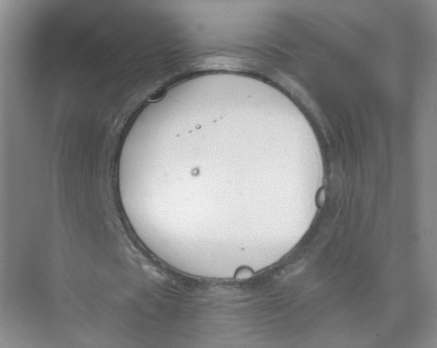 X0000074040529200609181955