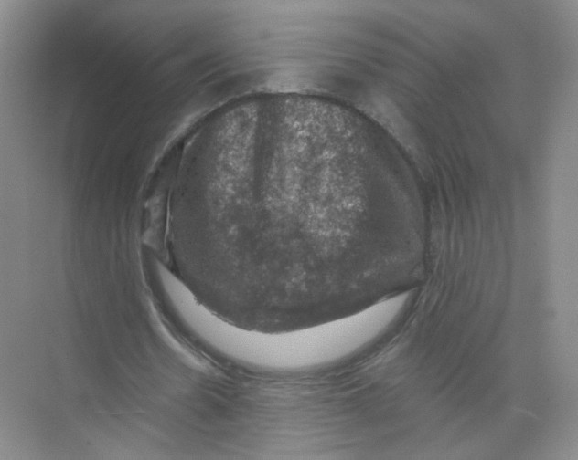 X0000074040530200609181955