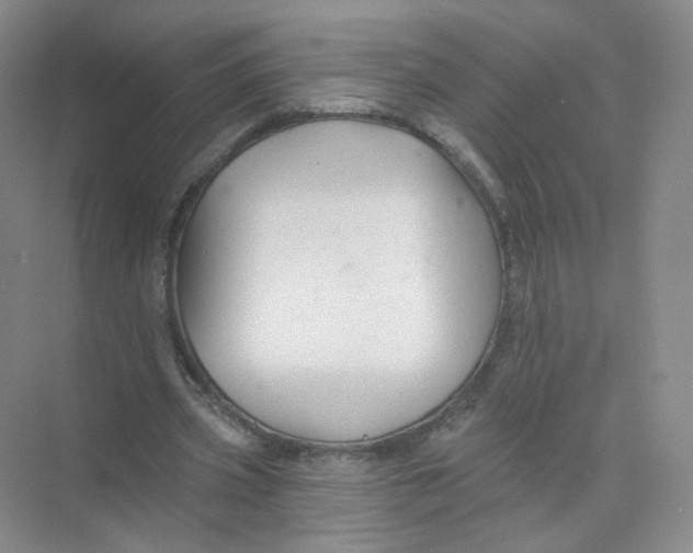 X0000074040533200609181955