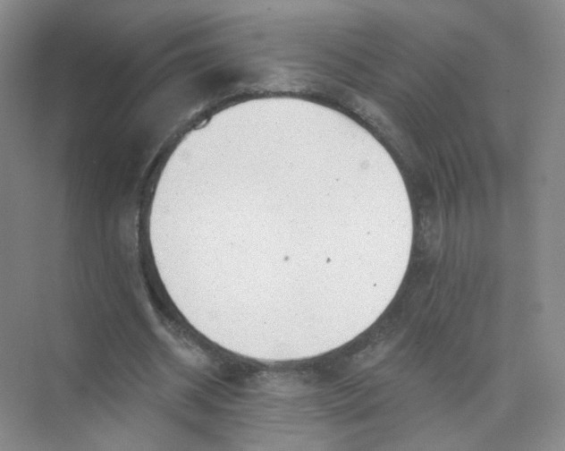 X0000074040534200609181955