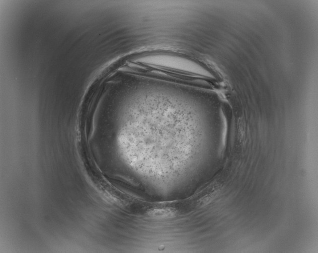 X0000074040536200609181955