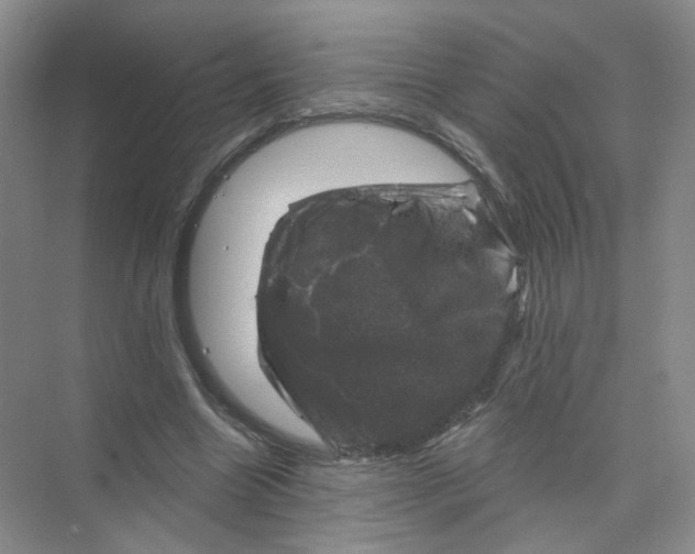 X0000074040538200609181955