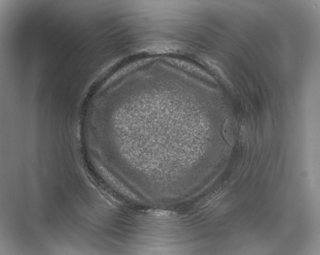 X0000074040539200609181955