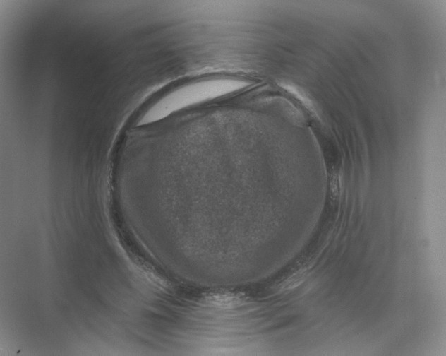 X0000074040540200609181955