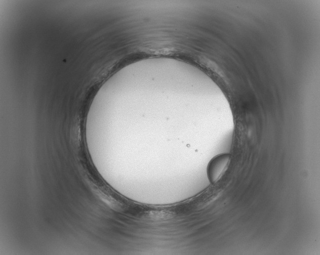 X0000074040541200609181955