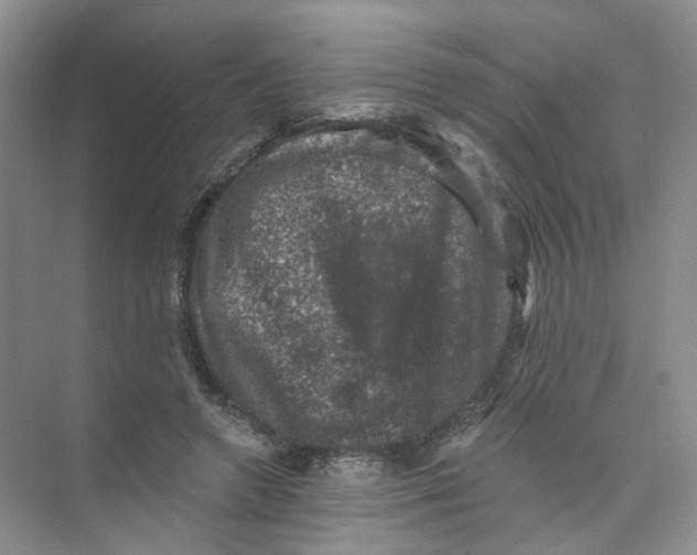 X0000074040546200609181955