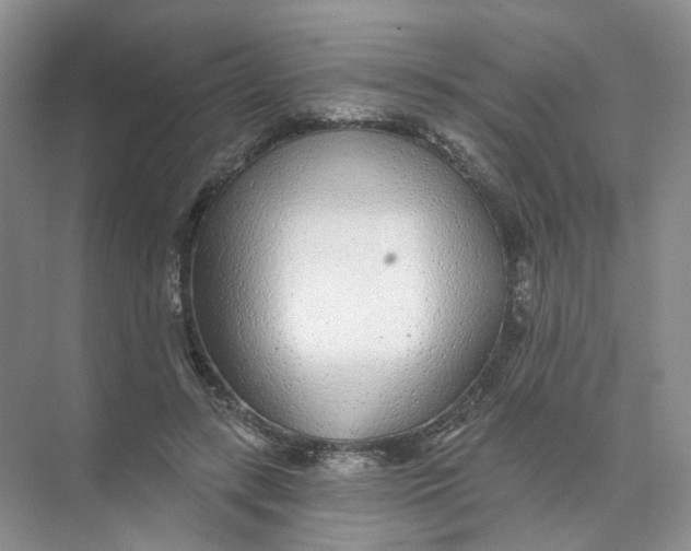 X0000074040547200609181955