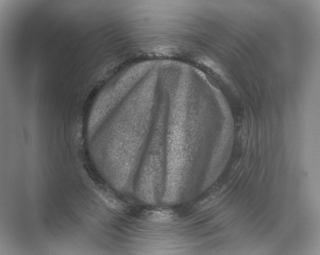 X0000074040548200609181955