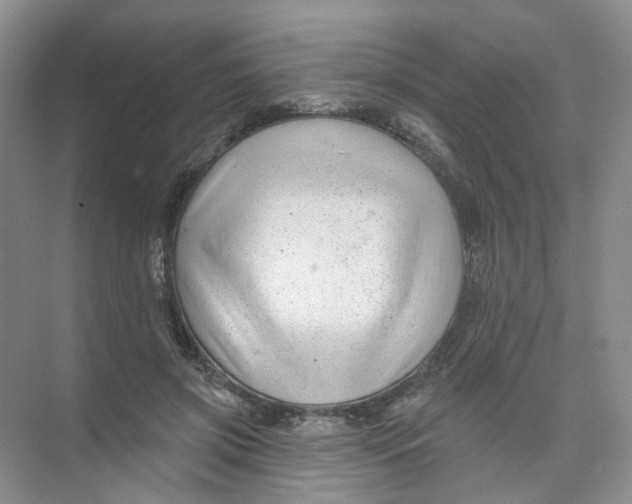 X0000074040549200609181955