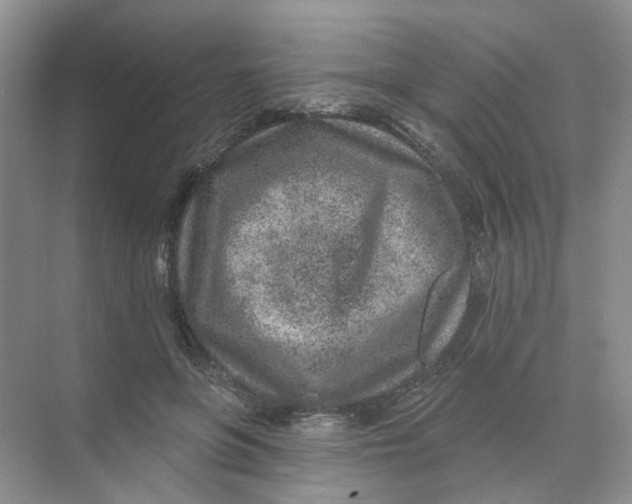 X0000074040551200609181955