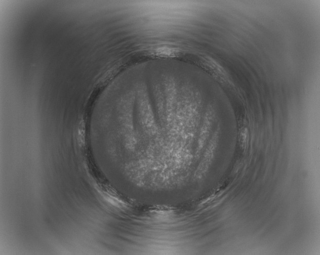 X0000074040552200609181955