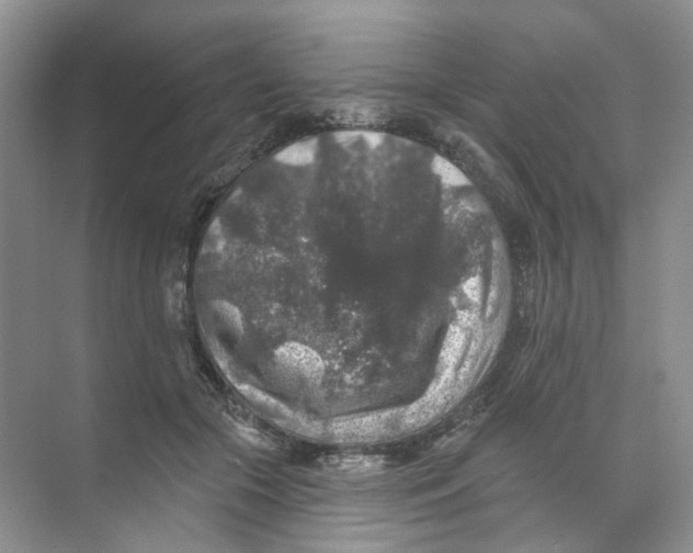 X0000074040553200609181955