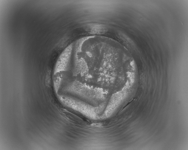 X0000074040554200609181955