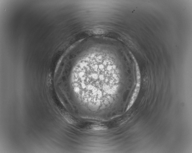 X0000074040555200609181955