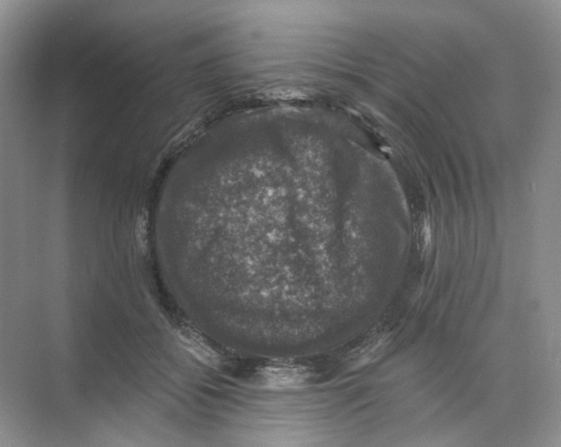 X0000074040556200609181955