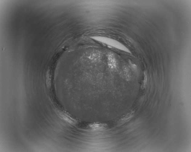 X0000074040558200609181955