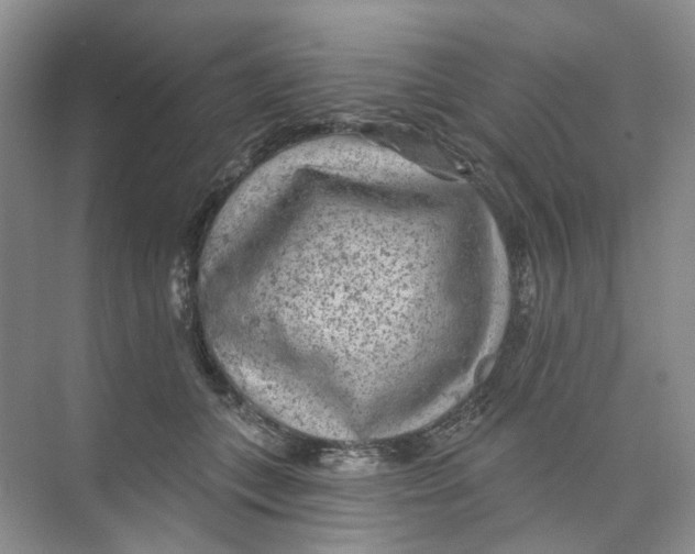 X0000074040559200609181955