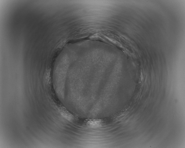 X0000074040560200609181955