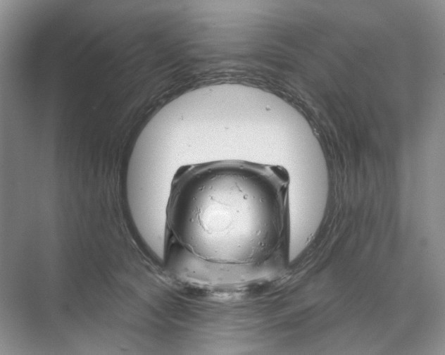 X0000074040561200609181955