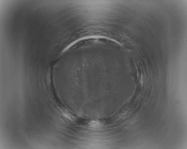 X0000074040562200609181955