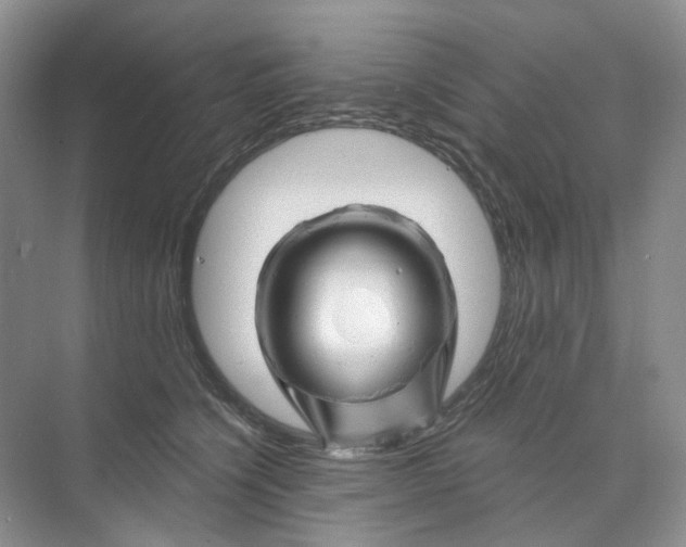 X0000074040564200609181955