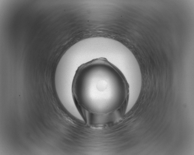 X0000074040566200609181955