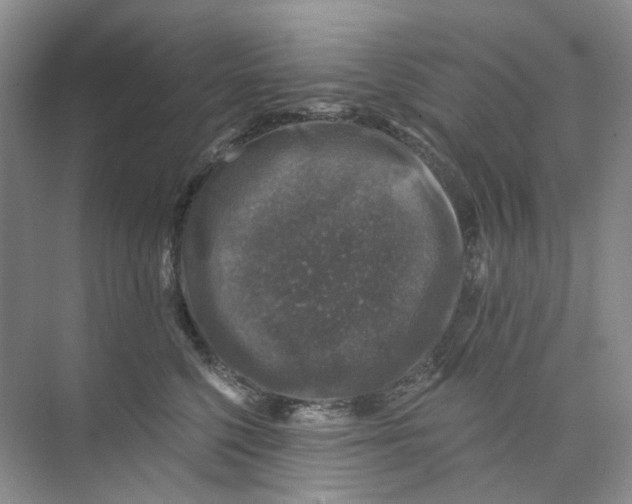 X0000074040568200609181955