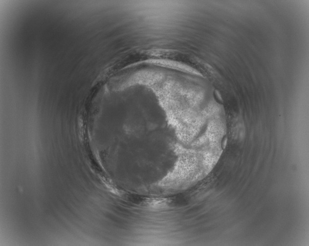 X0000074040569200609181955