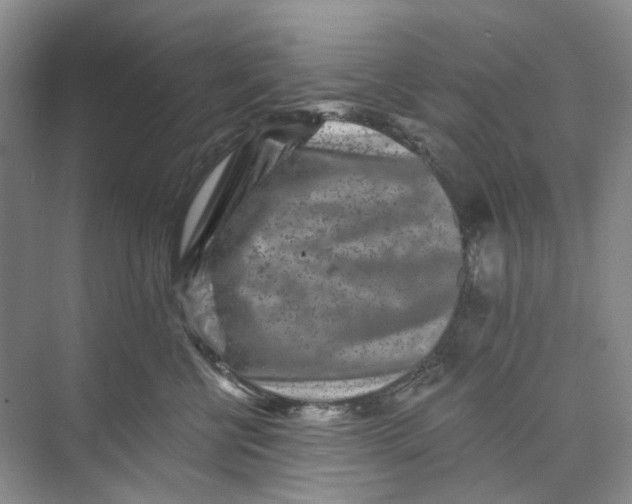 X0000074040570200609181955