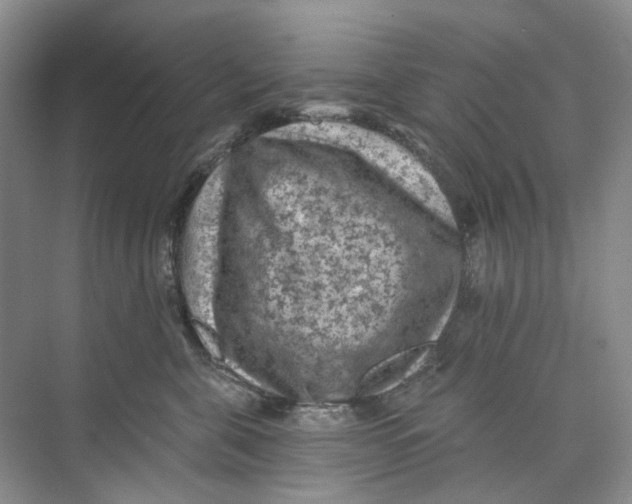 X0000074040571200609181955