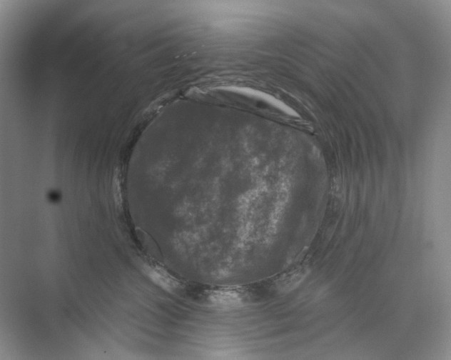 X0000074040572200609181955