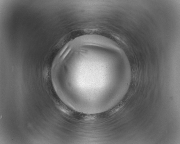 X0000074040574200609181955