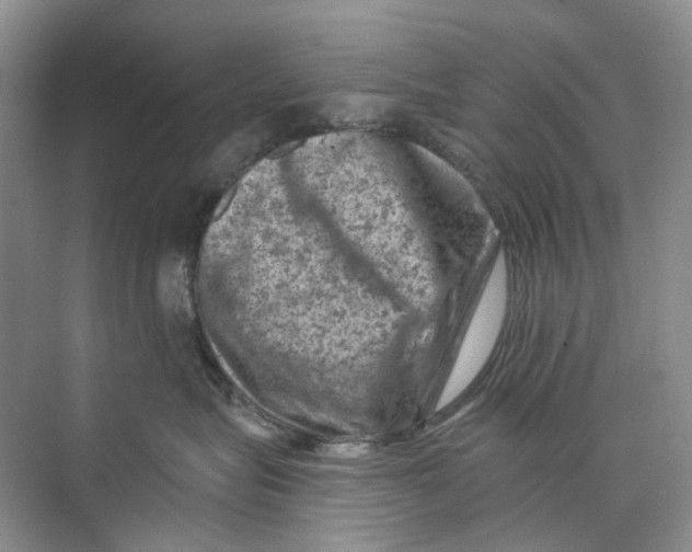 X0000074040575200609181955