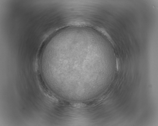 X0000074040579200609181955