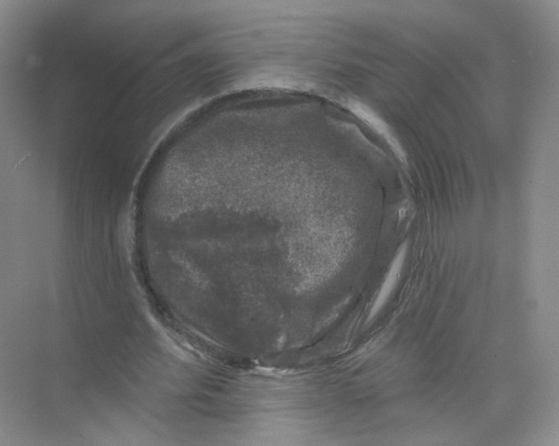 X0000074040580200609181955