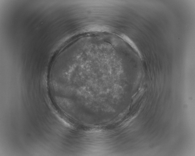 X0000074040581200609181955