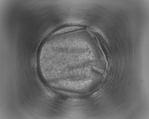 X0000074040582200609181955