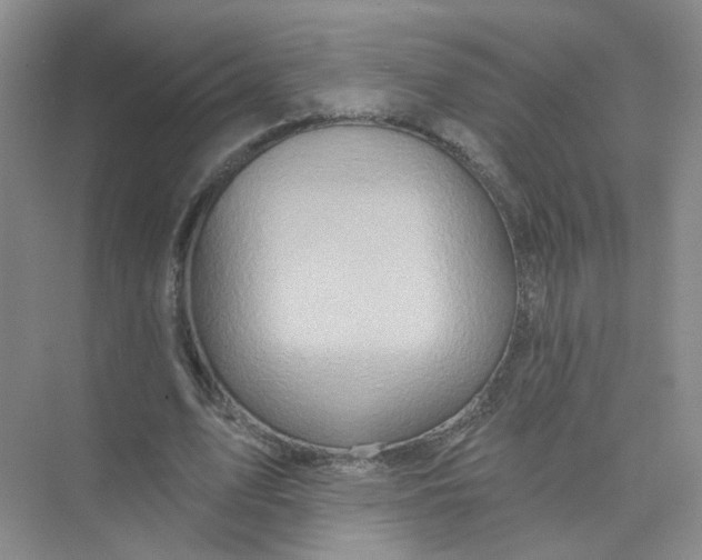 X0000074040583200609181955