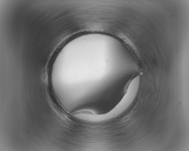 X0000074040584200609181955