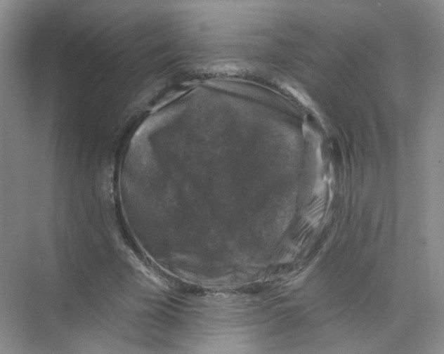 X0000074040585200609181955