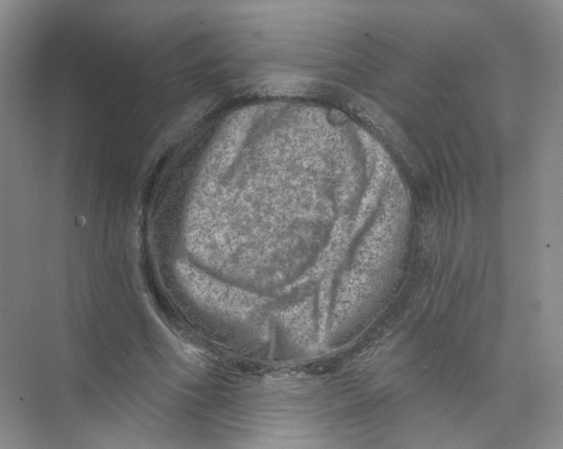 X0000074040586200609181955