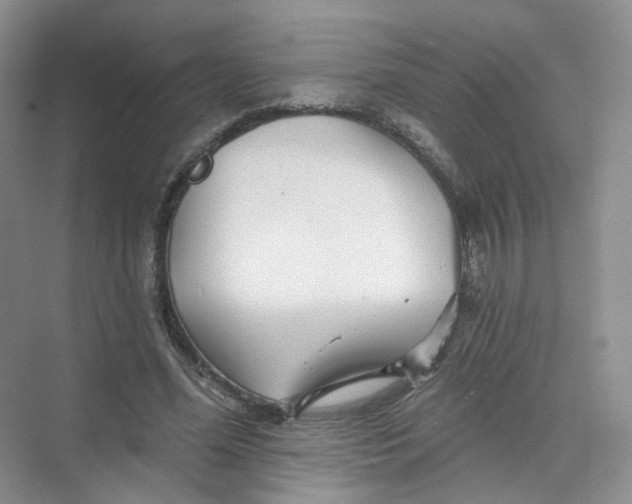 X0000074040588200609181954